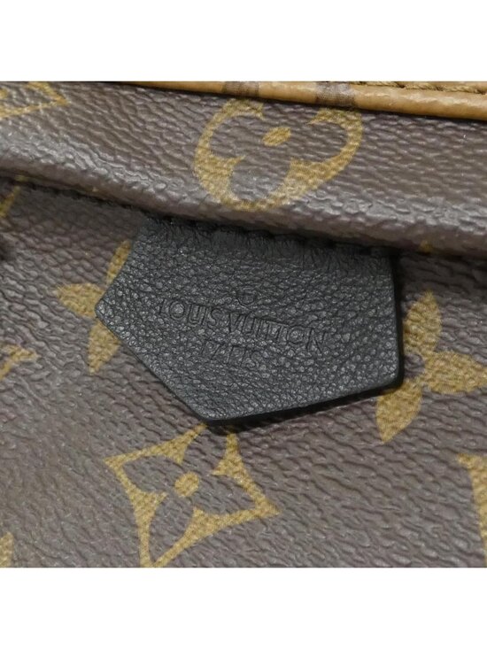 Louis Vuitton Monogram Reverse Palm Springs Backpack Mini main image 5